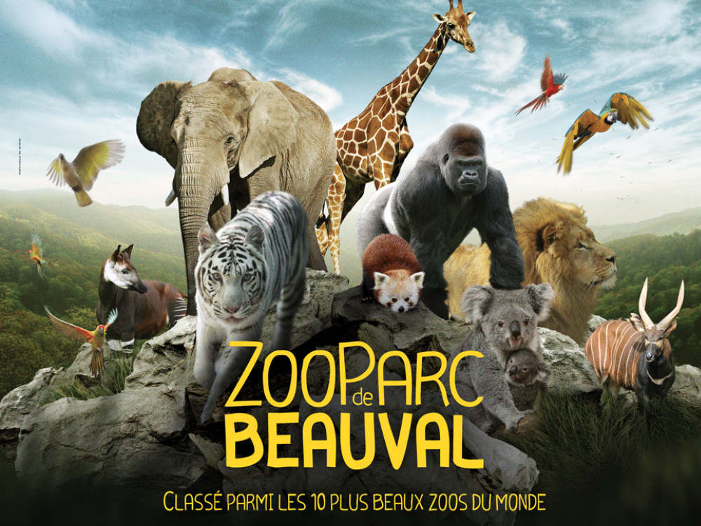 /Beauval Zoo